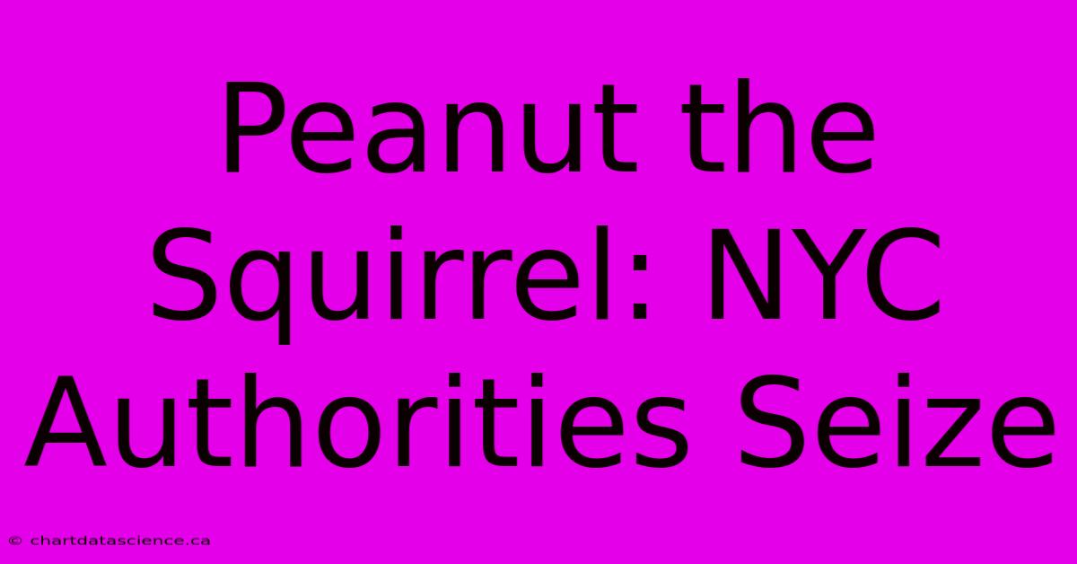 Peanut The Squirrel: NYC Authorities Seize