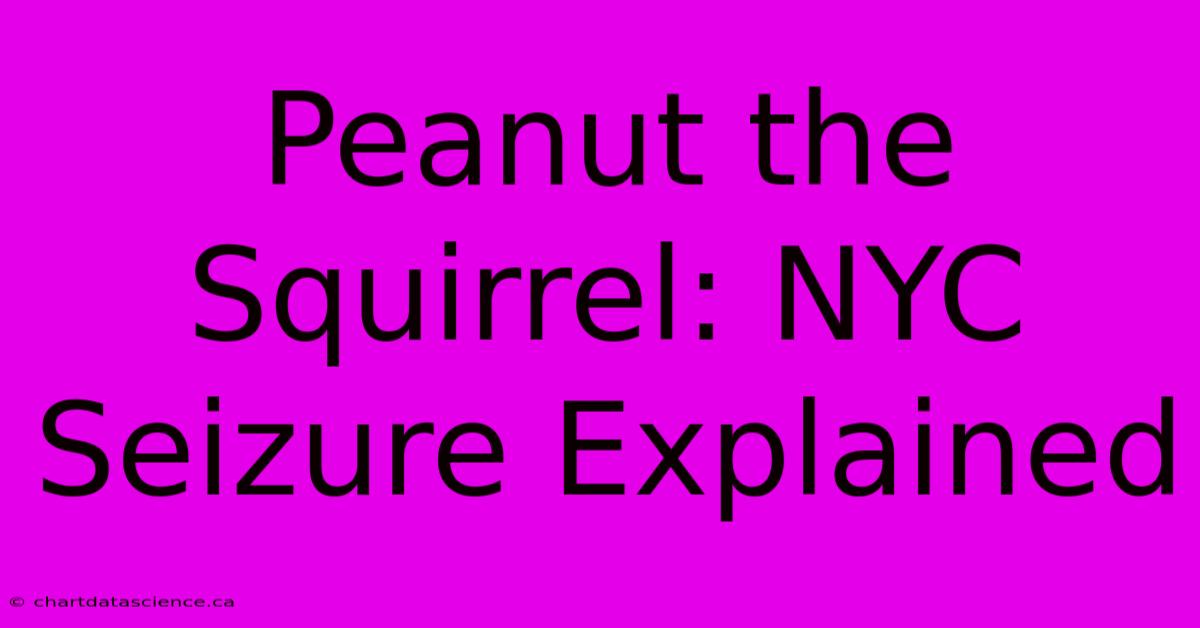 Peanut The Squirrel: NYC Seizure Explained 