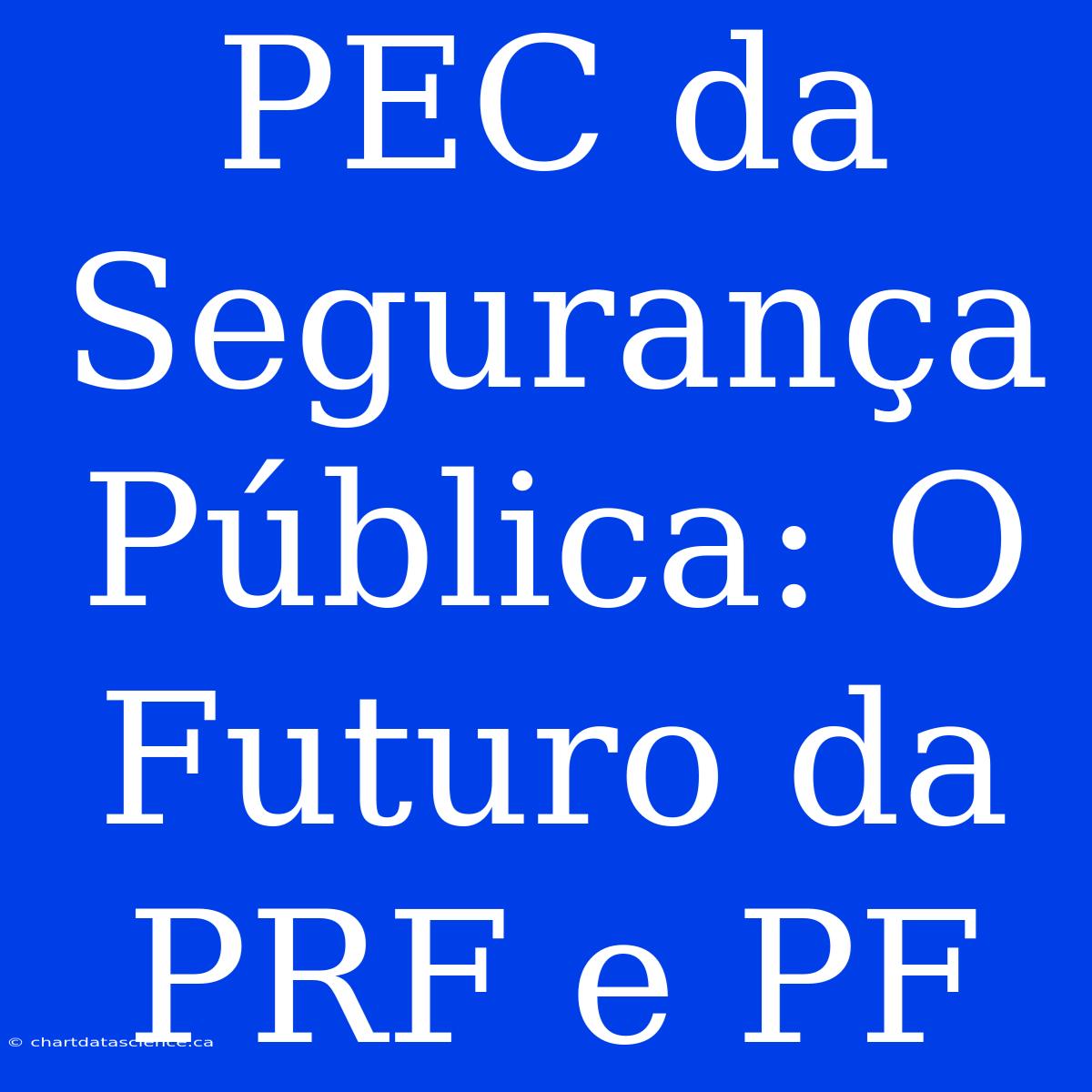 PEC Da Segurança Pública: O Futuro Da PRF E PF