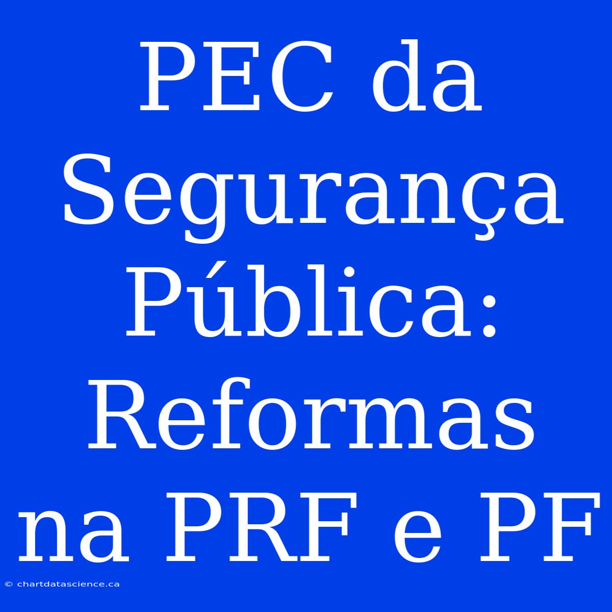 PEC Da Segurança Pública: Reformas Na PRF E PF