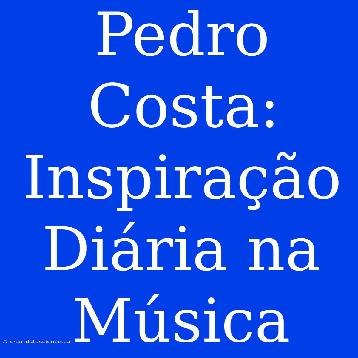 Pedro Costa: Inspiração Diária Na Música