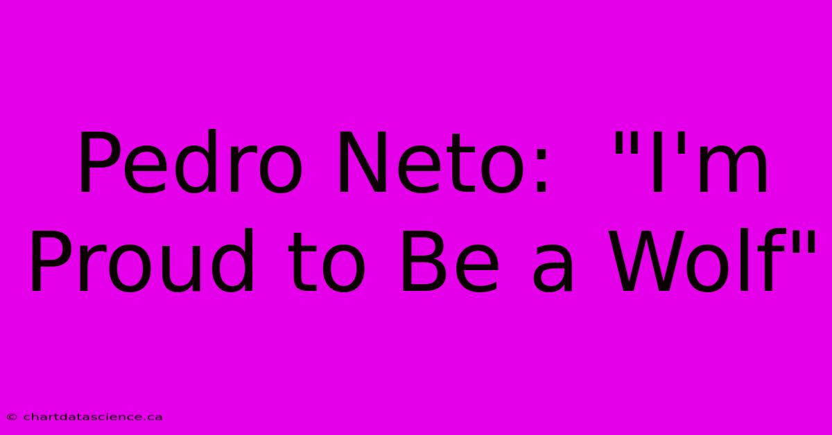 Pedro Neto:  