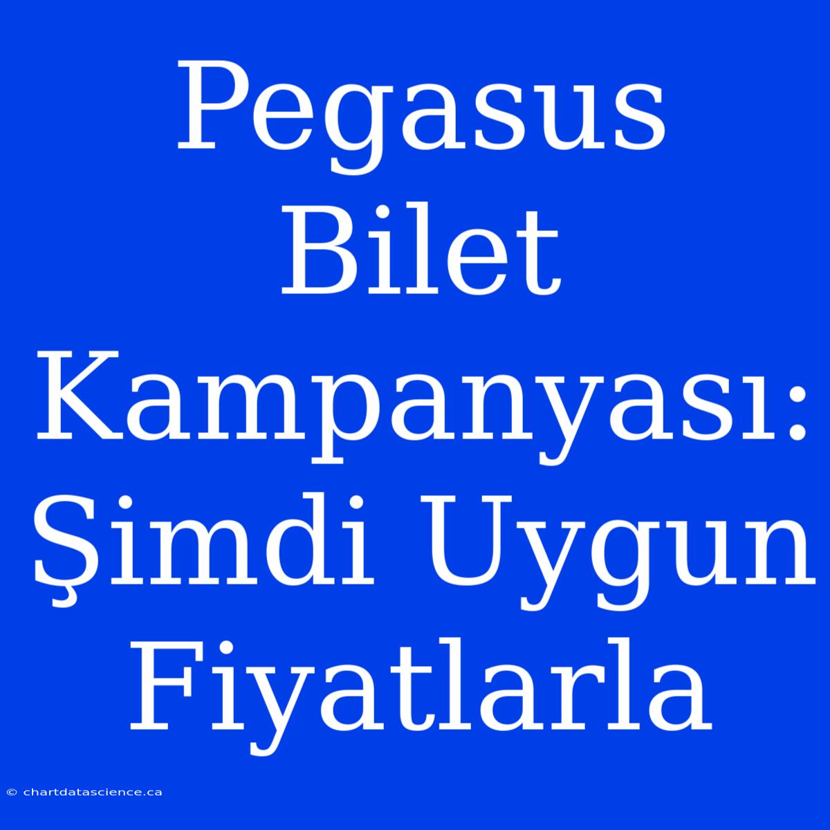 Pegasus Bilet Kampanyası: Şimdi Uygun Fiyatlarla