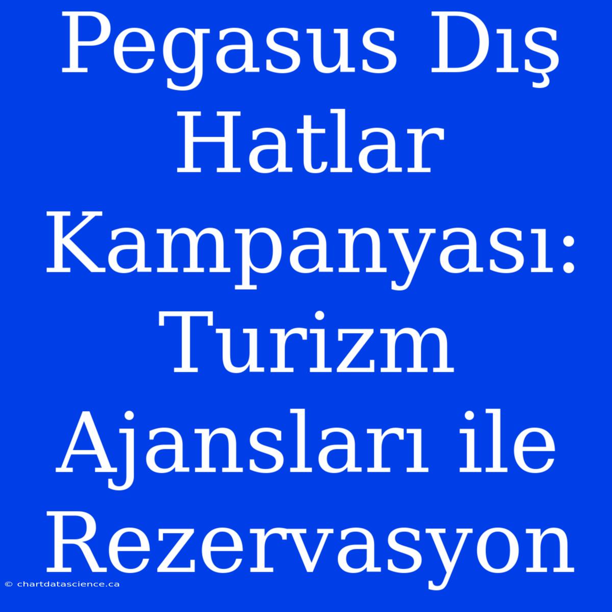 Pegasus Dış Hatlar Kampanyası: Turizm Ajansları Ile Rezervasyon