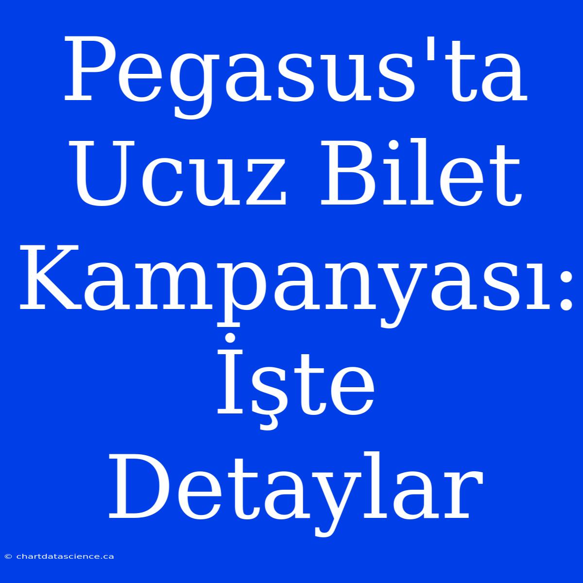 Pegasus'ta Ucuz Bilet Kampanyası: İşte Detaylar