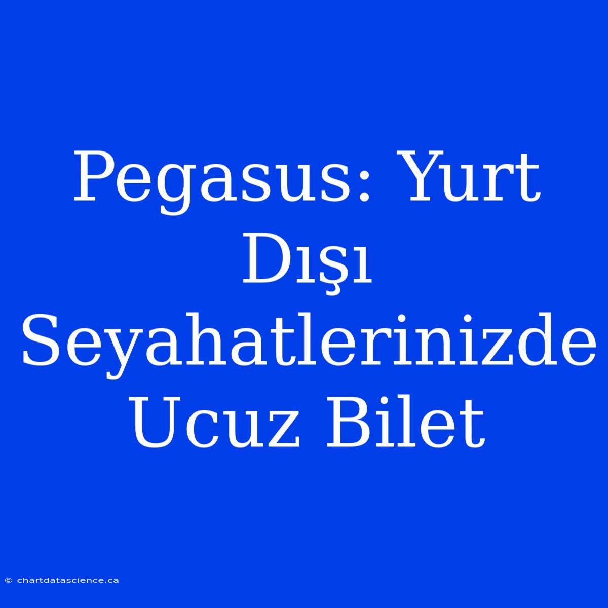 Pegasus: Yurt Dışı Seyahatlerinizde Ucuz Bilet