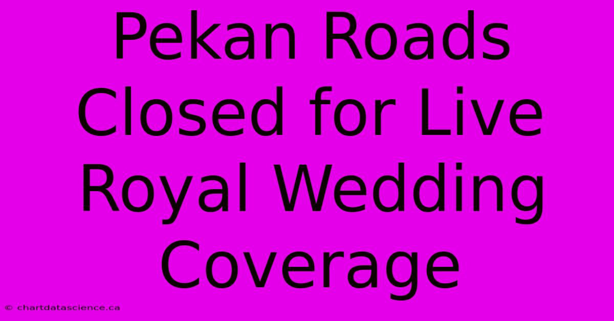 Pekan Roads Closed For Live Royal Wedding Coverage