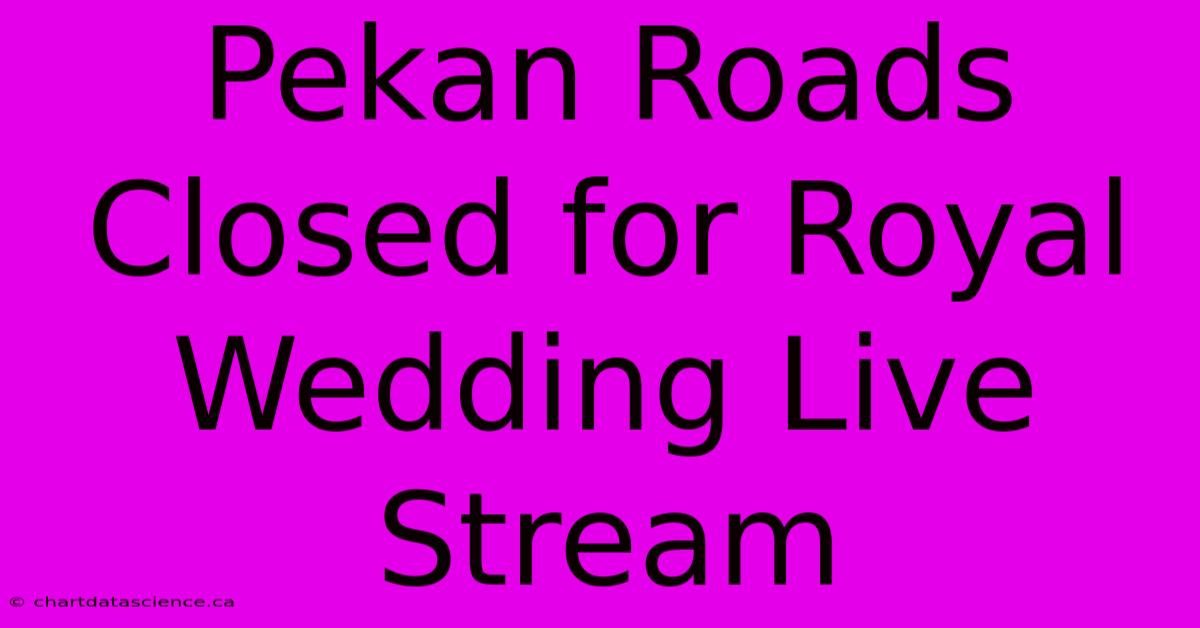 Pekan Roads Closed For Royal Wedding Live Stream