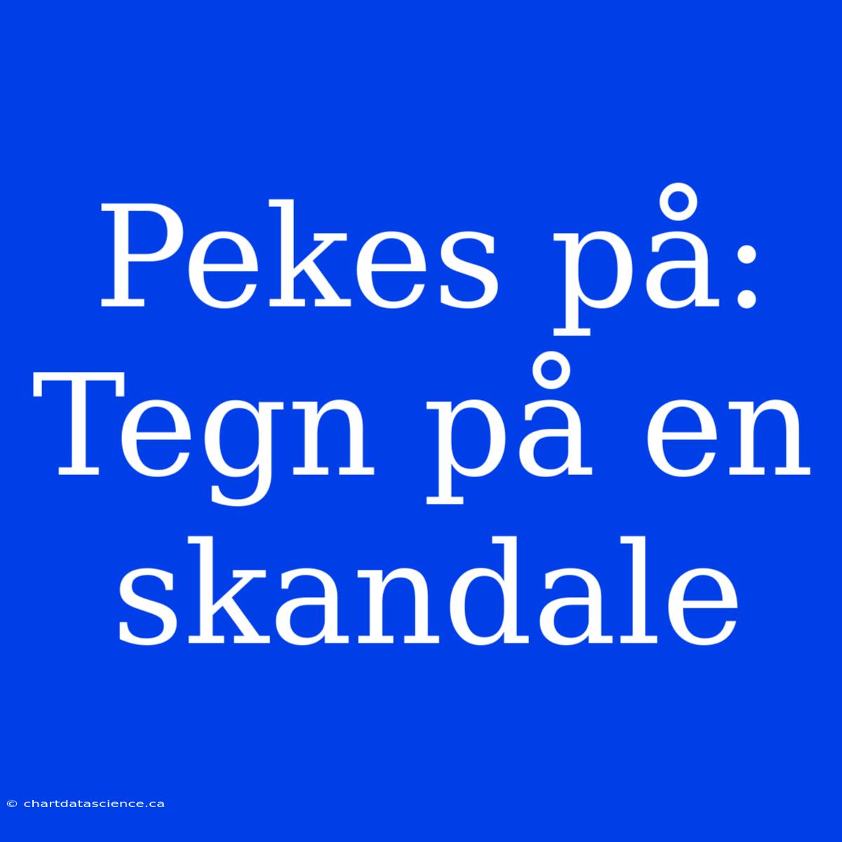 Pekes På:  Tegn På En Skandale