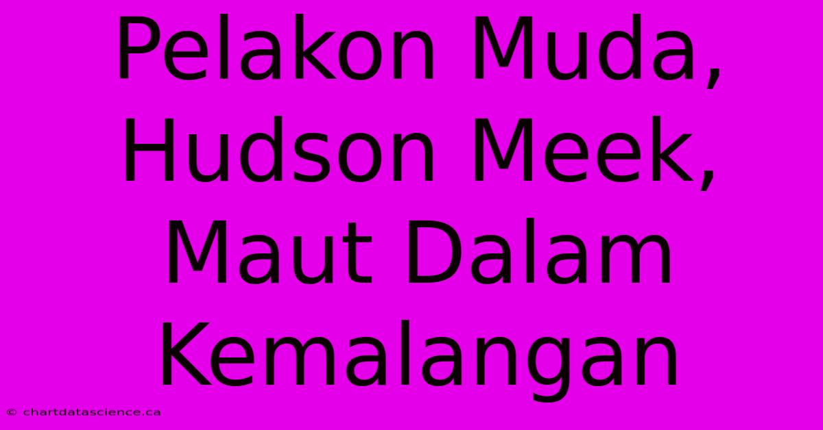 Pelakon Muda, Hudson Meek, Maut Dalam Kemalangan