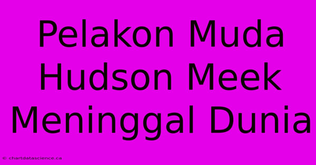 Pelakon Muda Hudson Meek Meninggal Dunia