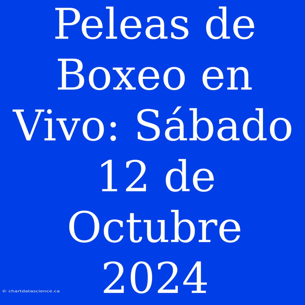 Peleas De Boxeo En Vivo: Sábado 12 De Octubre 2024