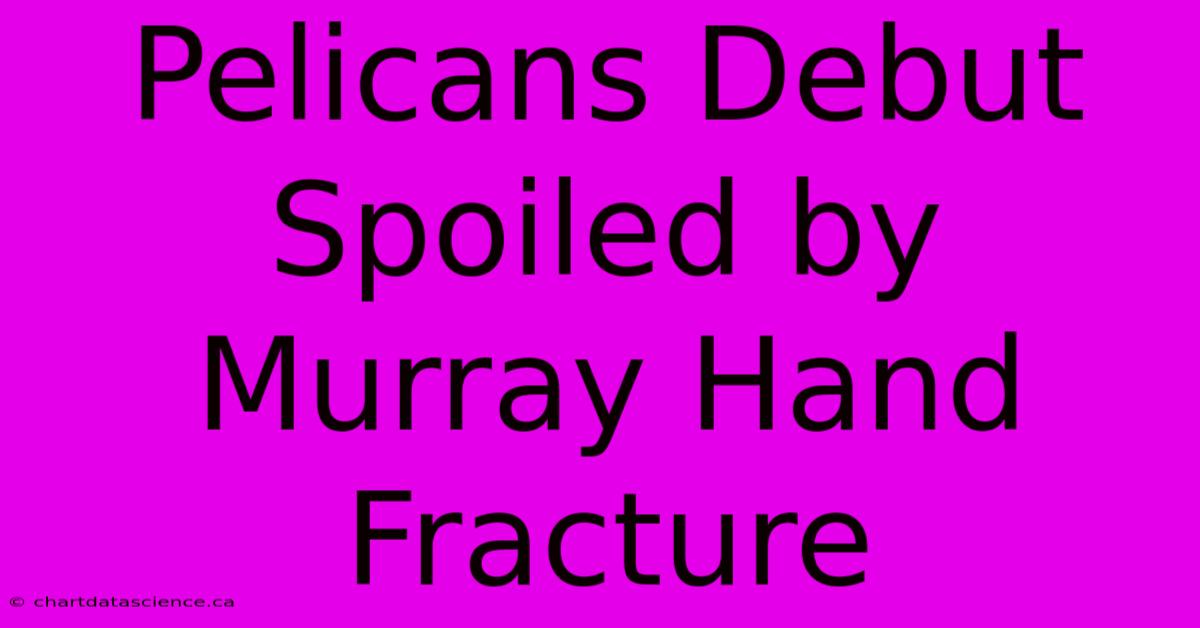 Pelicans Debut Spoiled By Murray Hand Fracture 