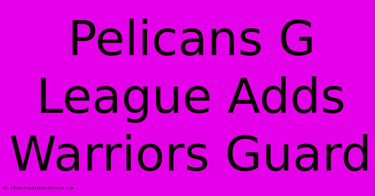 Pelicans G League Adds Warriors Guard