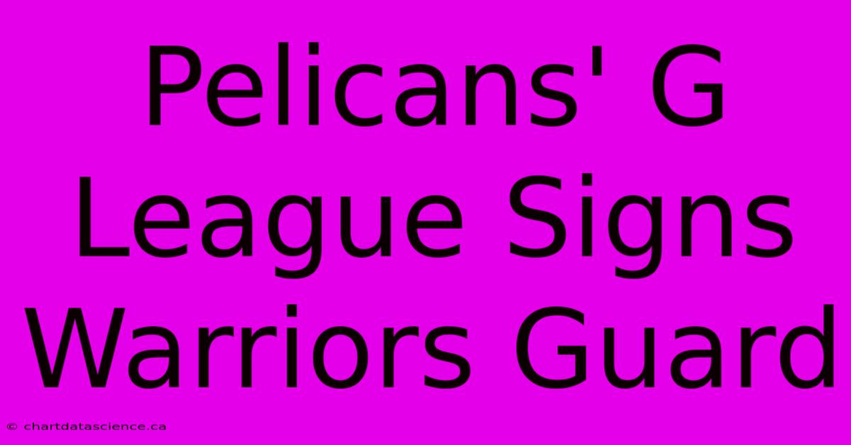 Pelicans' G League Signs Warriors Guard