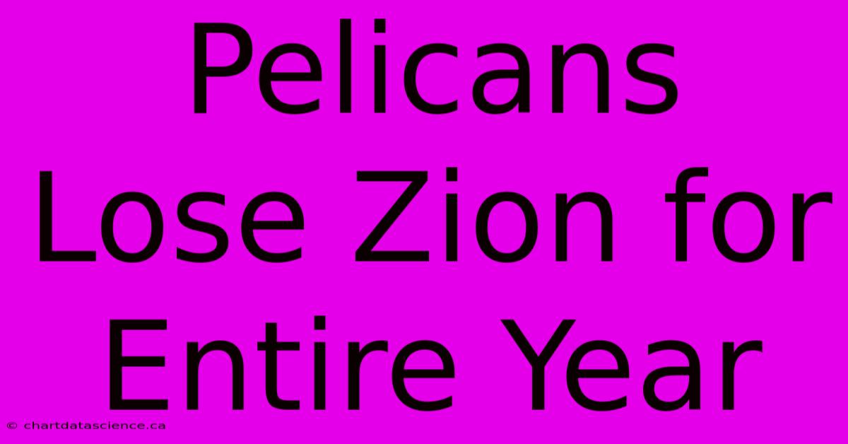 Pelicans Lose Zion For Entire Year