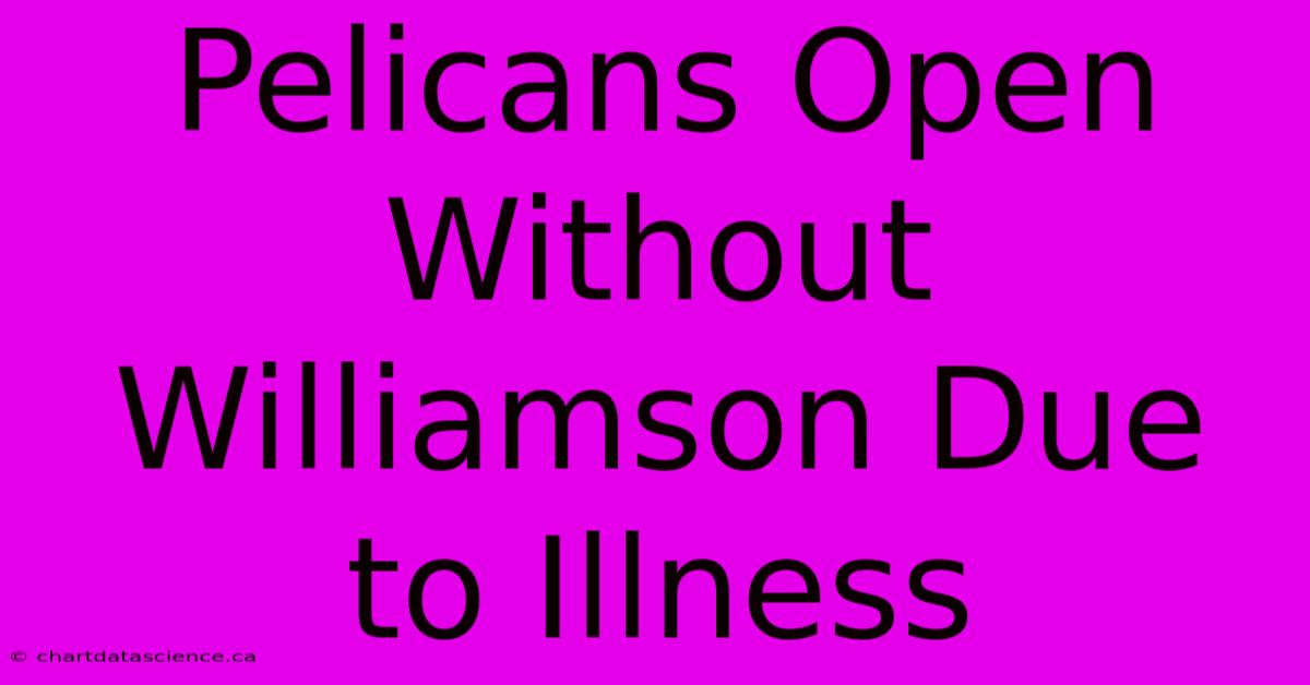 Pelicans Open Without Williamson Due To Illness 