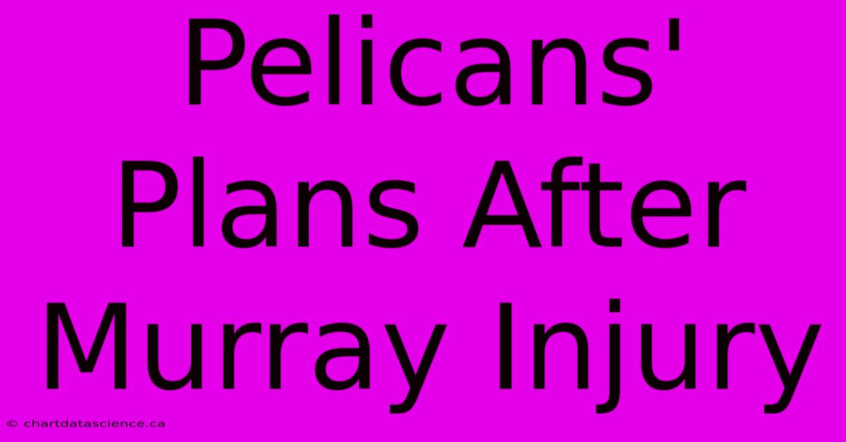 Pelicans' Plans After Murray Injury