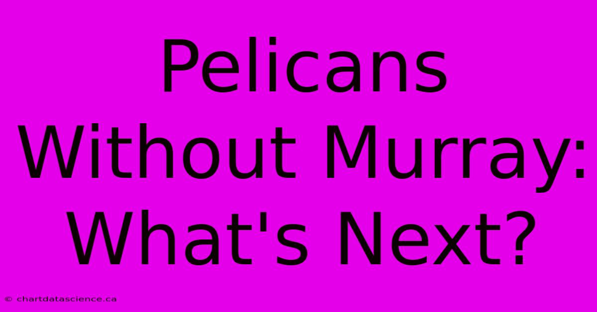 Pelicans Without Murray: What's Next?