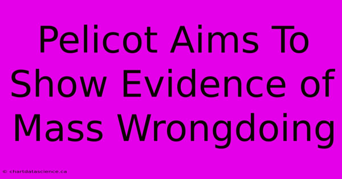 Pelicot Aims To Show Evidence Of Mass Wrongdoing