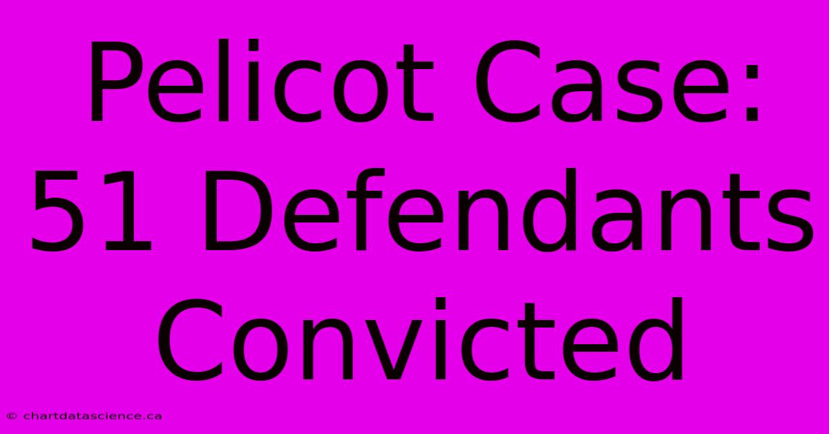 Pelicot Case: 51 Defendants Convicted