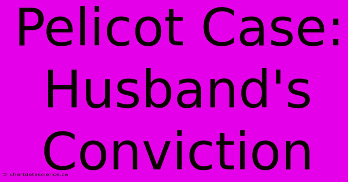 Pelicot Case: Husband's Conviction