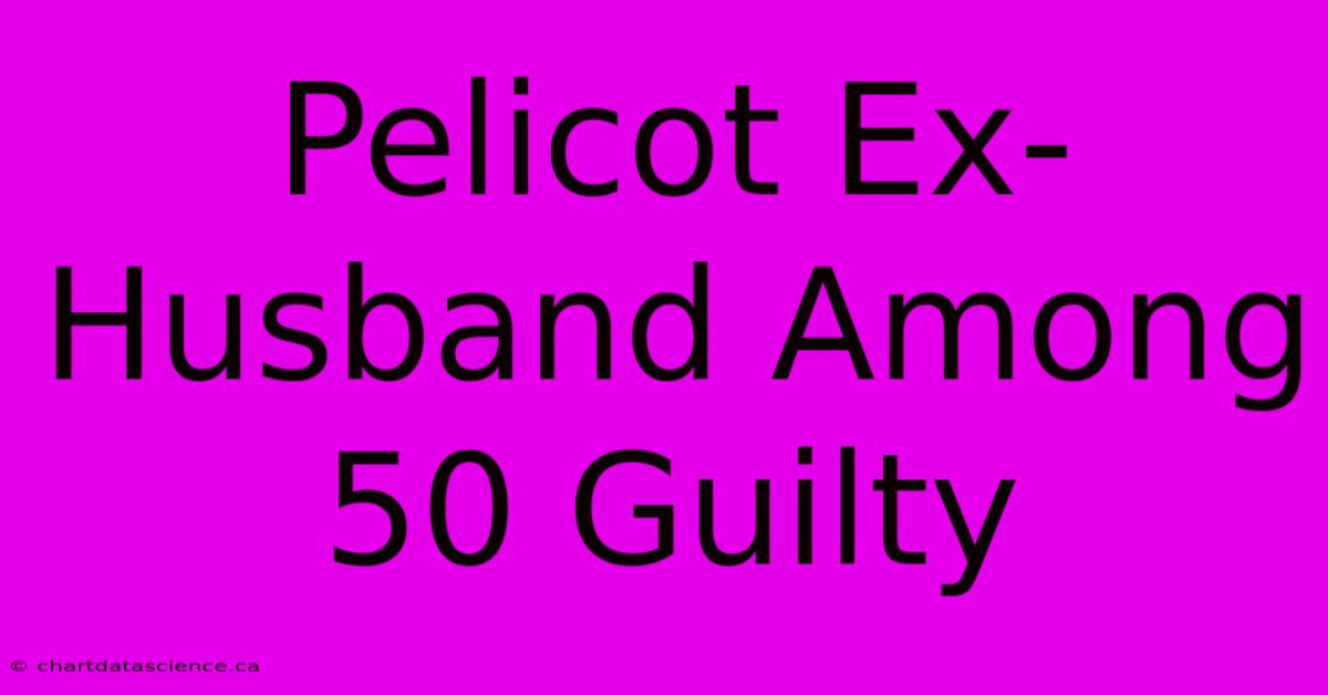 Pelicot Ex-Husband Among 50 Guilty