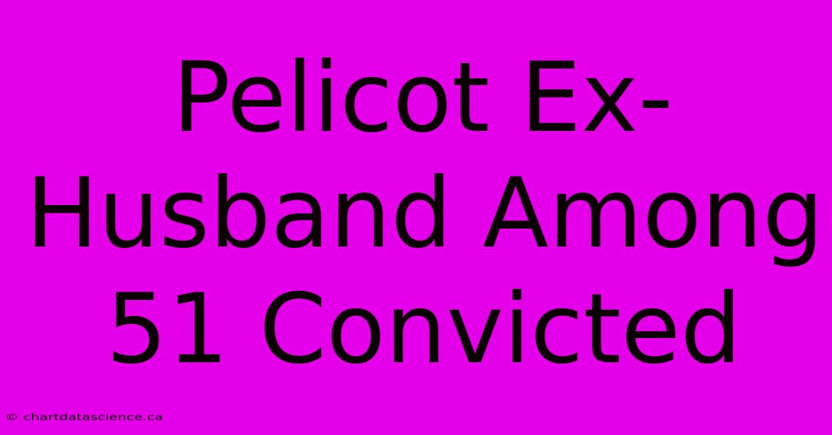 Pelicot Ex-Husband Among 51 Convicted