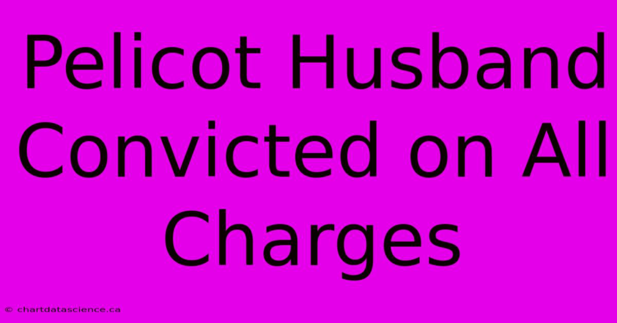 Pelicot Husband Convicted On All Charges