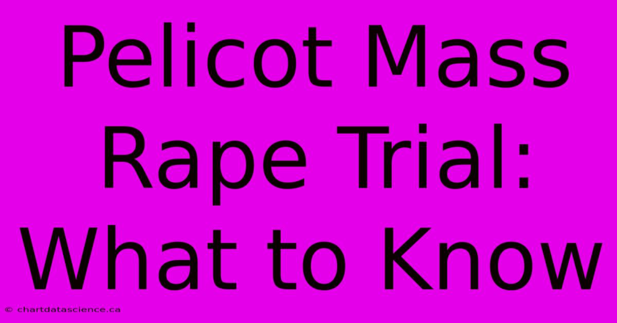 Pelicot Mass Rape Trial: What To Know