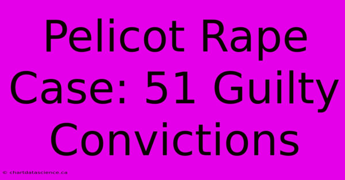 Pelicot Rape Case: 51 Guilty Convictions