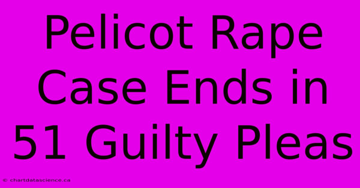 Pelicot Rape Case Ends In 51 Guilty Pleas