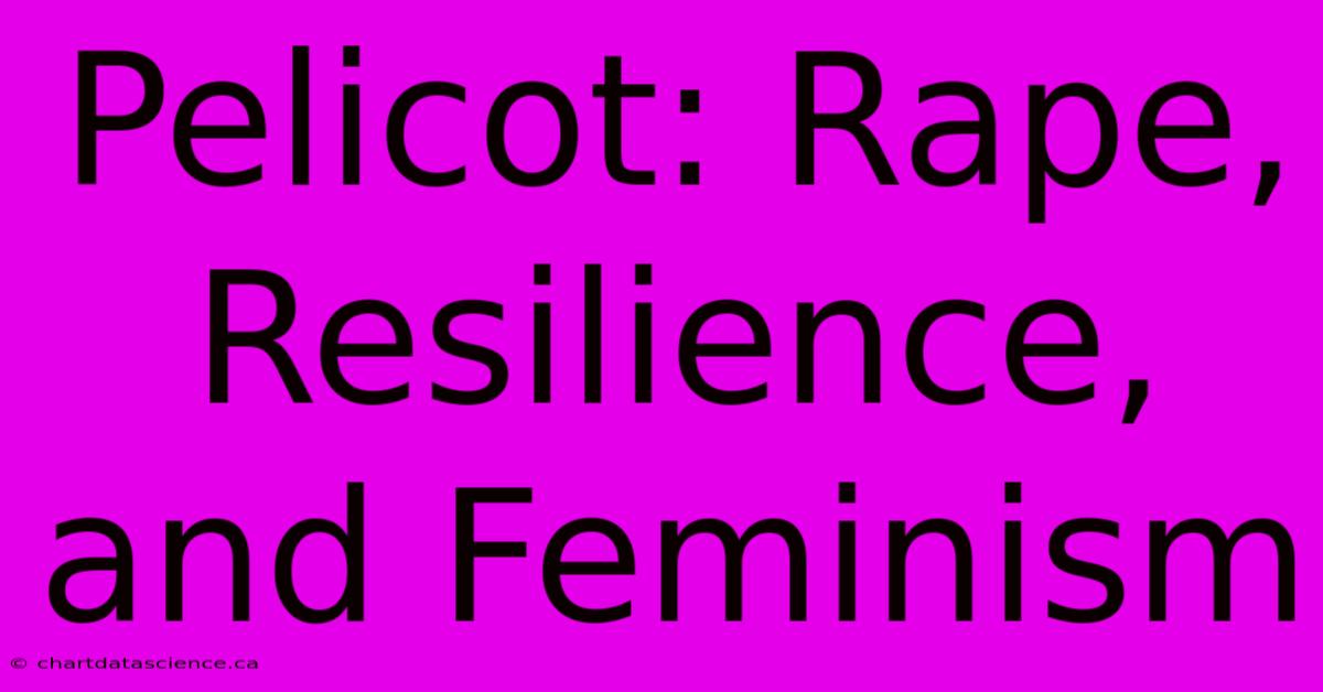 Pelicot: Rape, Resilience, And Feminism