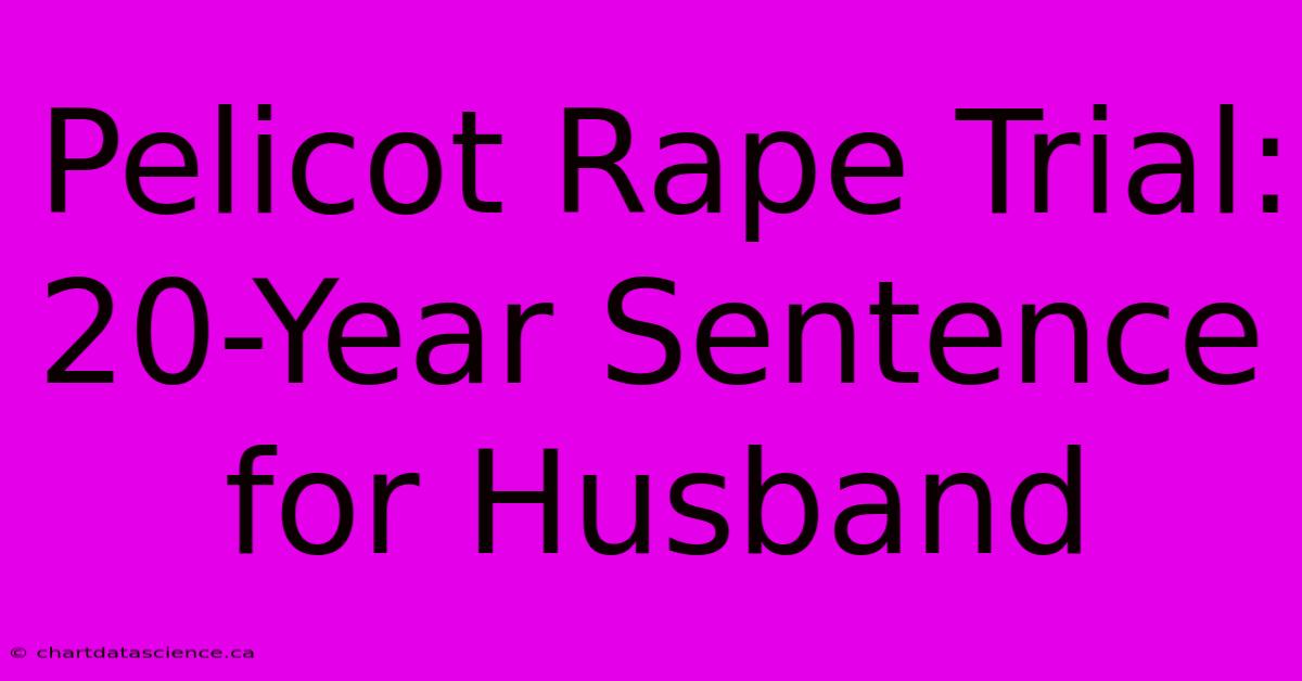 Pelicot Rape Trial: 20-Year Sentence For Husband