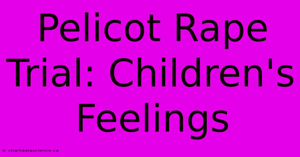 Pelicot Rape Trial: Children's Feelings