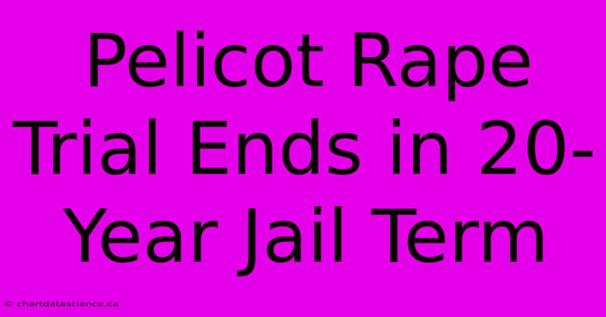 Pelicot Rape Trial Ends In 20-Year Jail Term