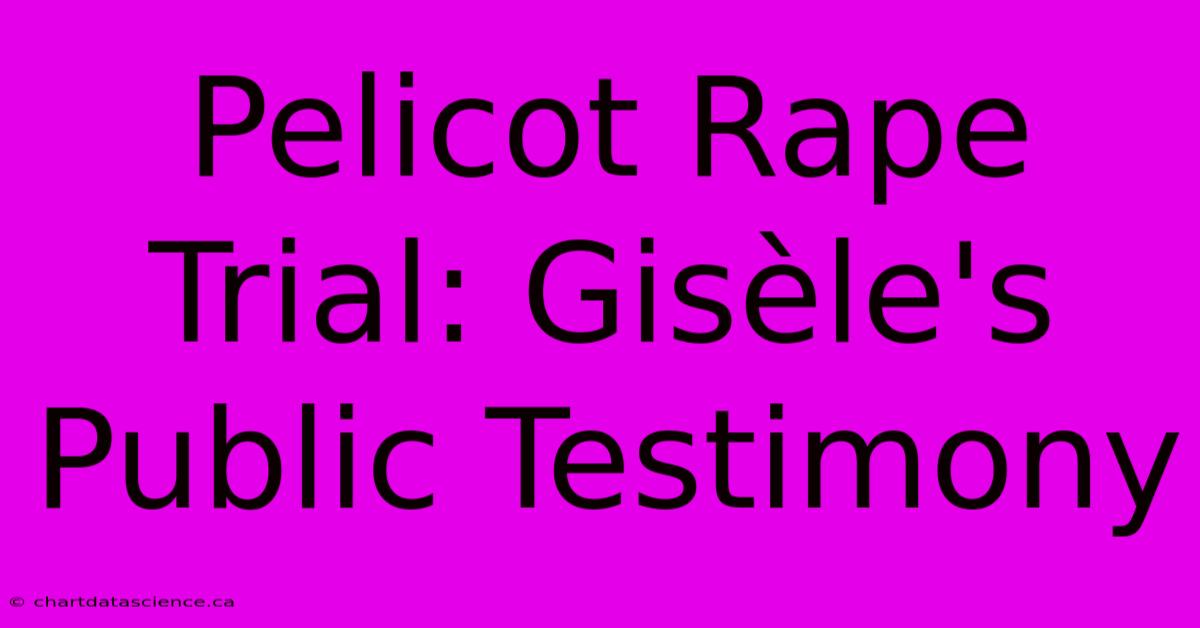 Pelicot Rape Trial: Gisèle's Public Testimony