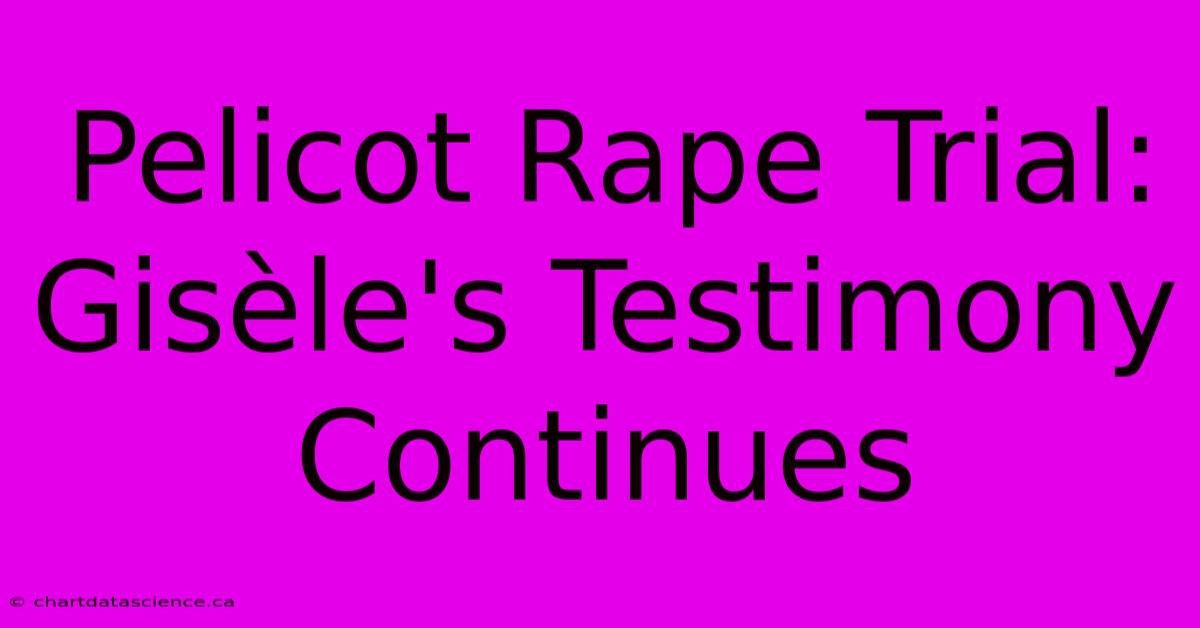 Pelicot Rape Trial: Gisèle's Testimony Continues