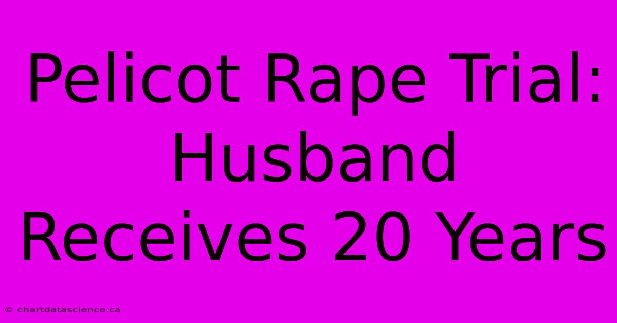 Pelicot Rape Trial: Husband Receives 20 Years