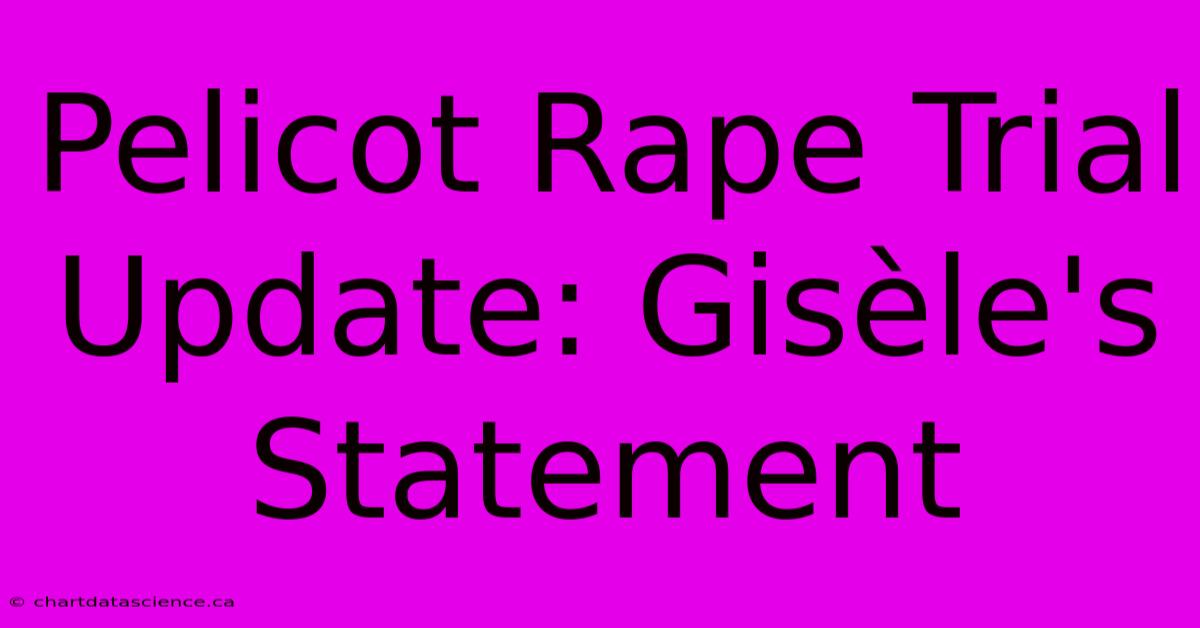 Pelicot Rape Trial Update: Gisèle's Statement