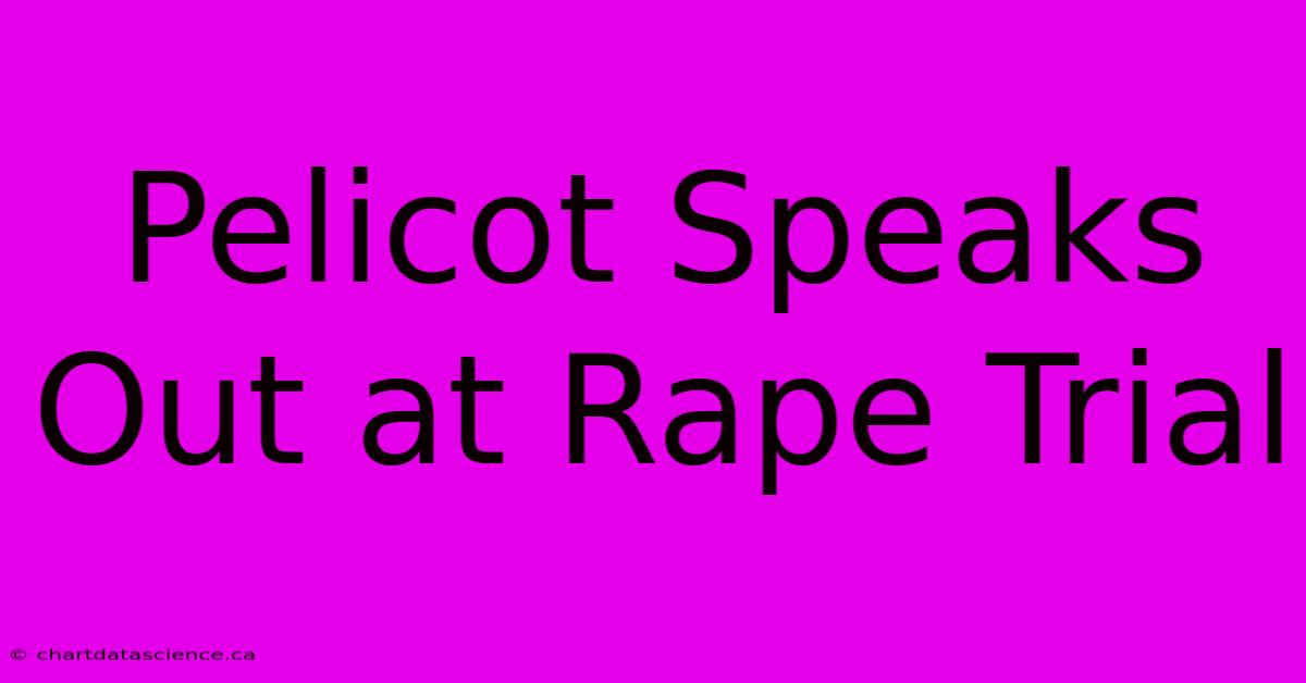 Pelicot Speaks Out At Rape Trial