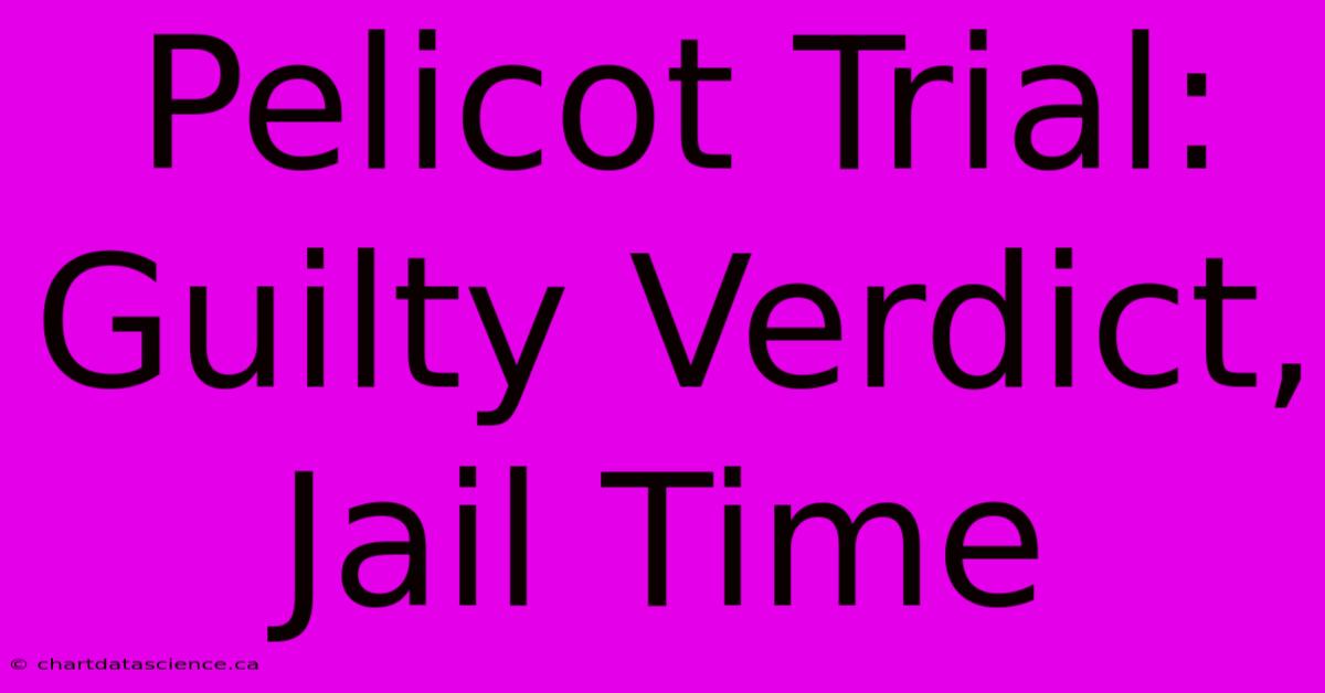 Pelicot Trial: Guilty Verdict, Jail Time