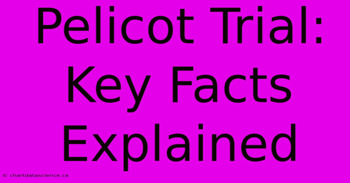 Pelicot Trial: Key Facts Explained