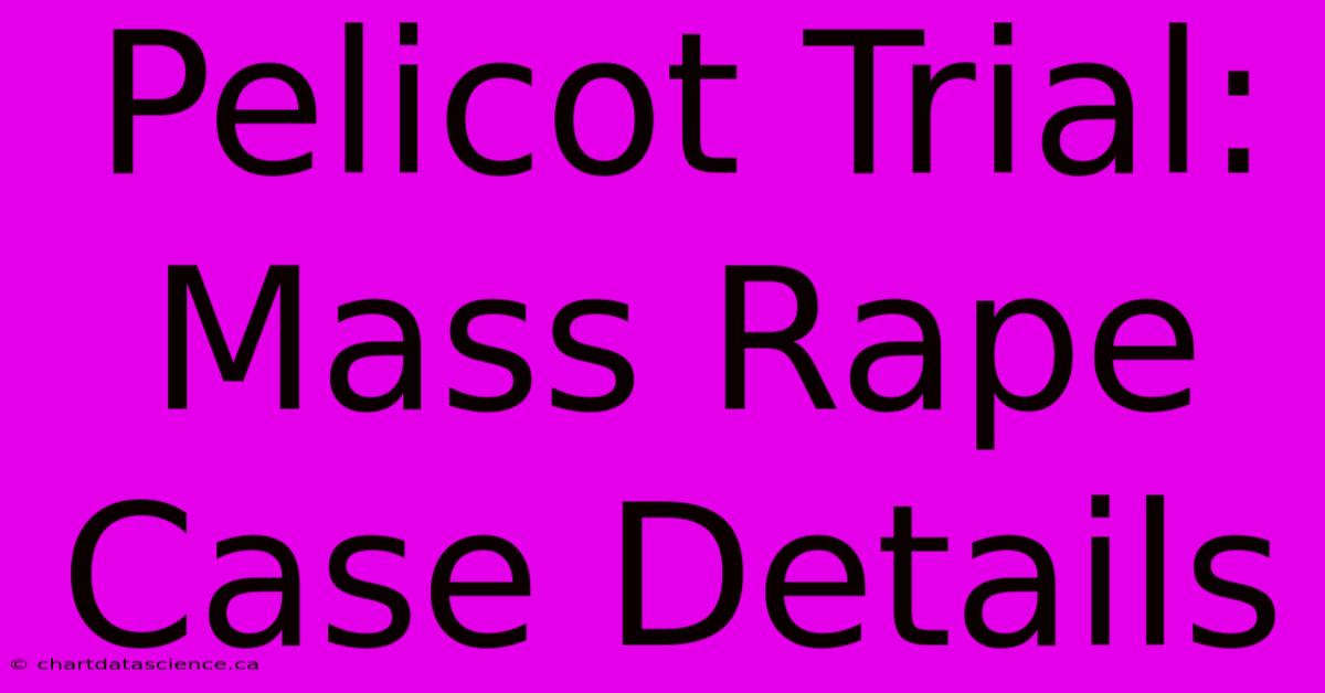 Pelicot Trial: Mass Rape Case Details