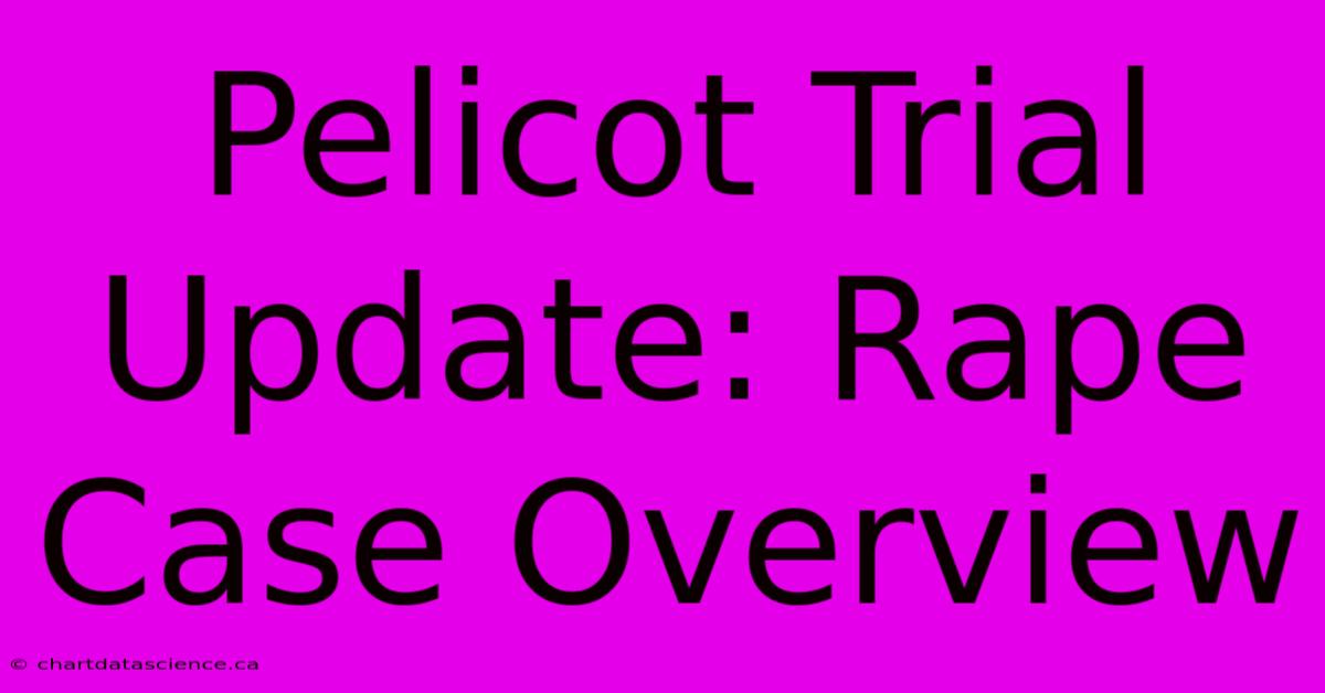 Pelicot Trial Update: Rape Case Overview