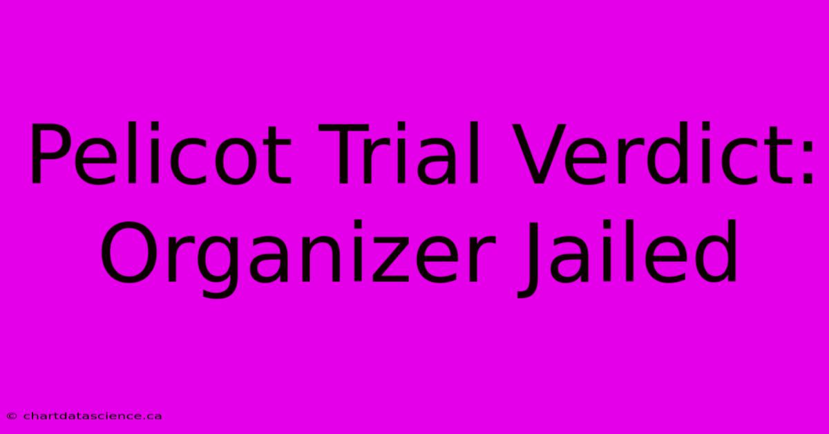 Pelicot Trial Verdict: Organizer Jailed