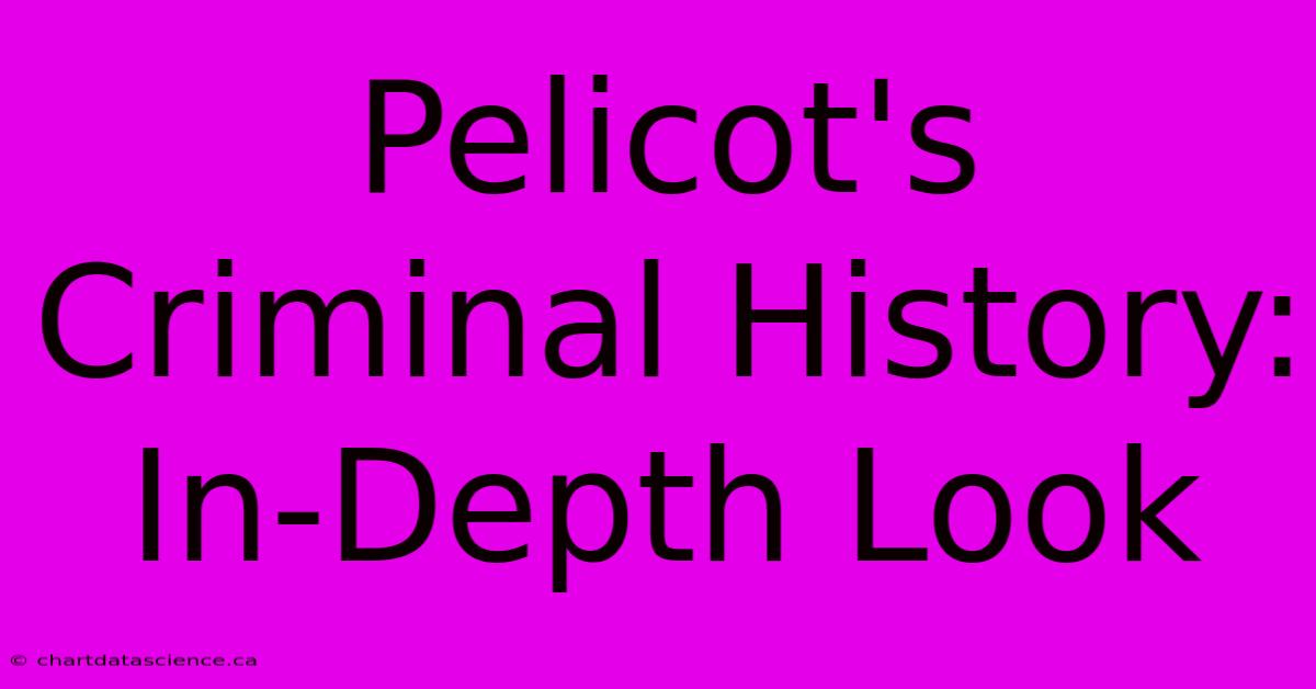 Pelicot's Criminal History: In-Depth Look