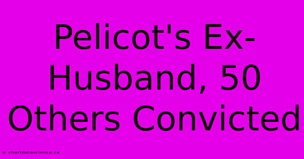 Pelicot's Ex-Husband, 50 Others Convicted