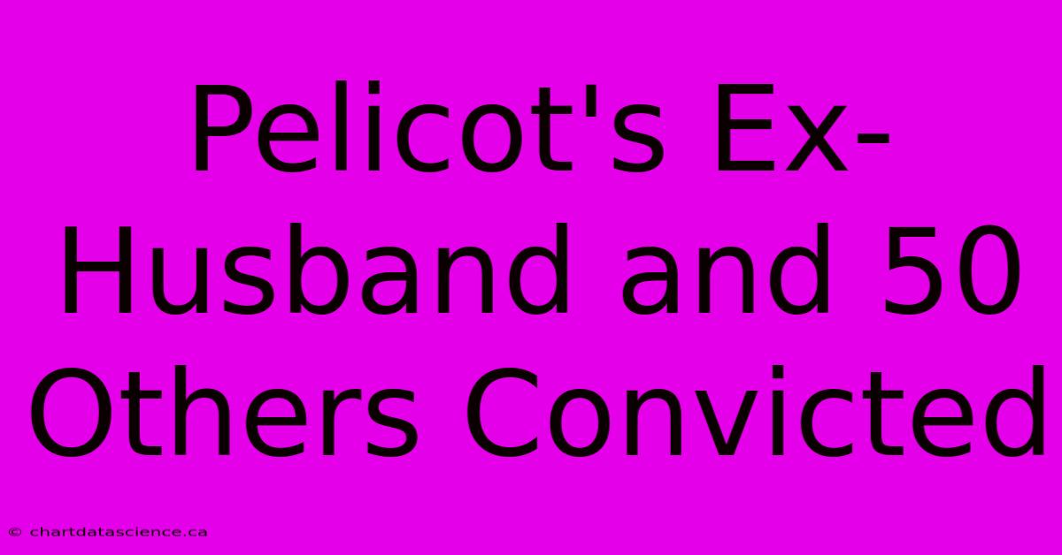 Pelicot's Ex-Husband And 50 Others Convicted