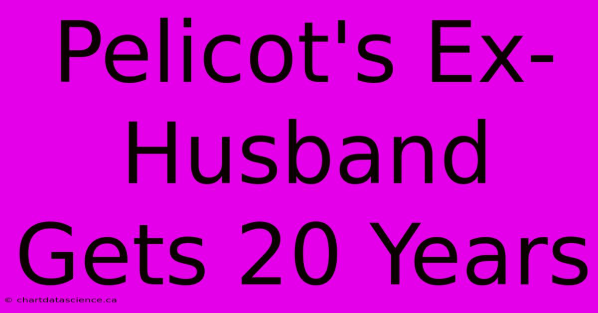 Pelicot's Ex-Husband Gets 20 Years